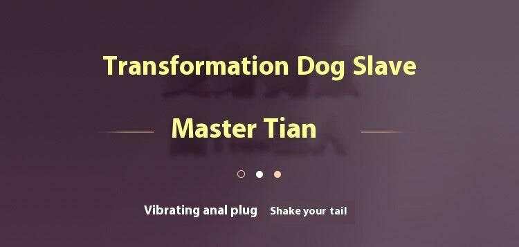 SM Remote Control Wearable Vibrating Butt Plug