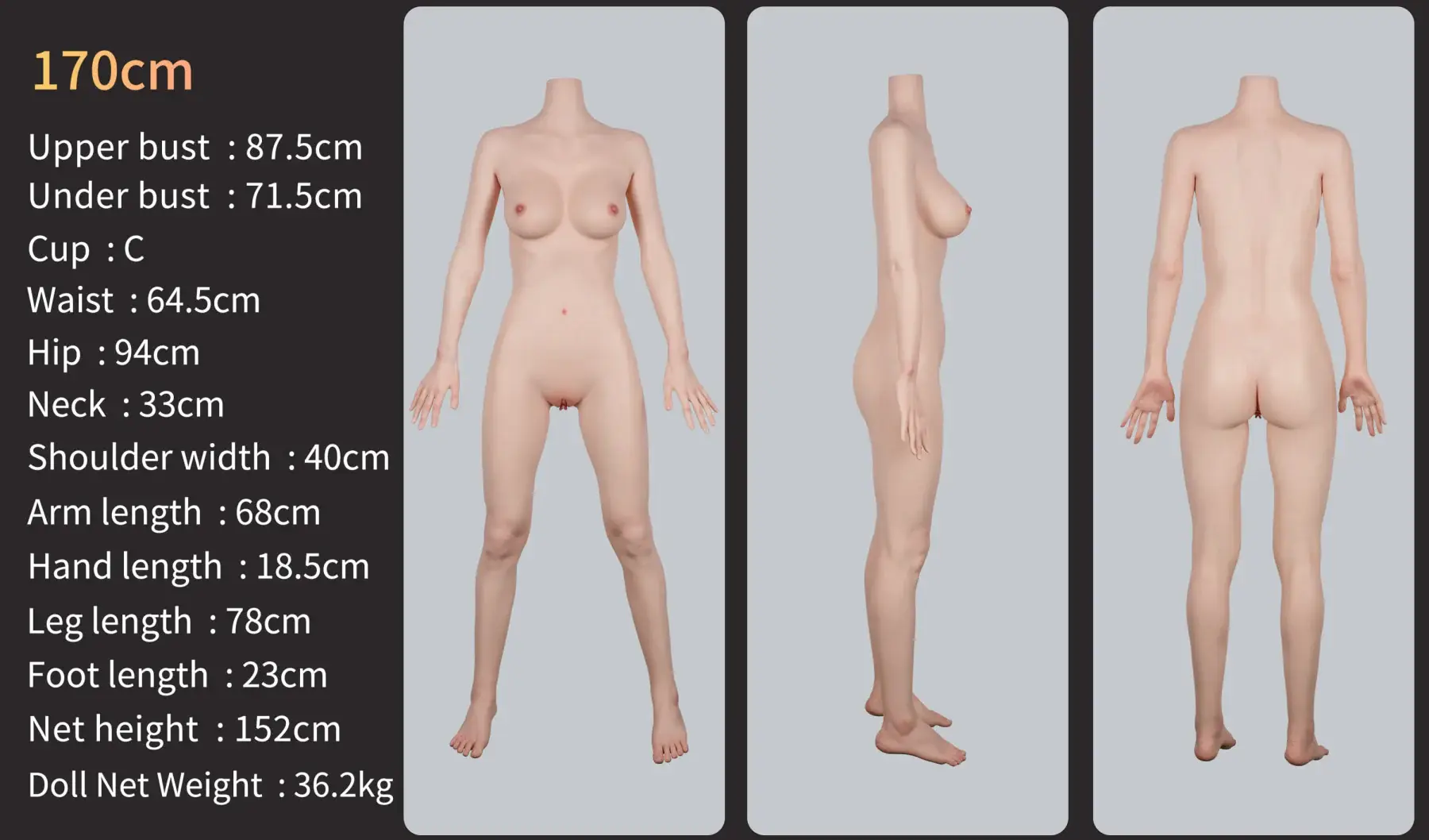 Geisha Life Size Realistic Sex Doll - GE53_2 - Zelex [USA STOCK]