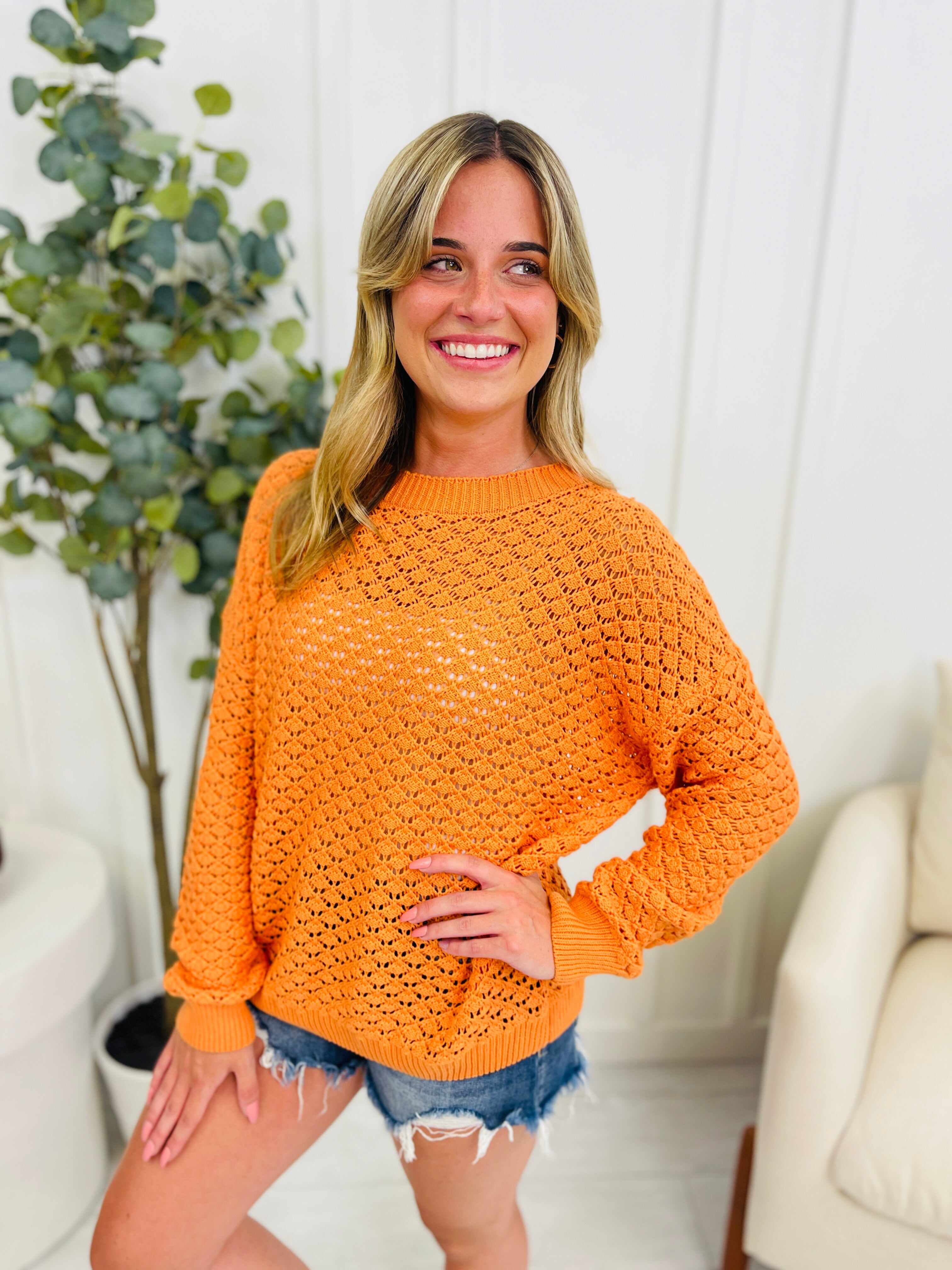 Rising Sun Sweater- Multiple Colors!
