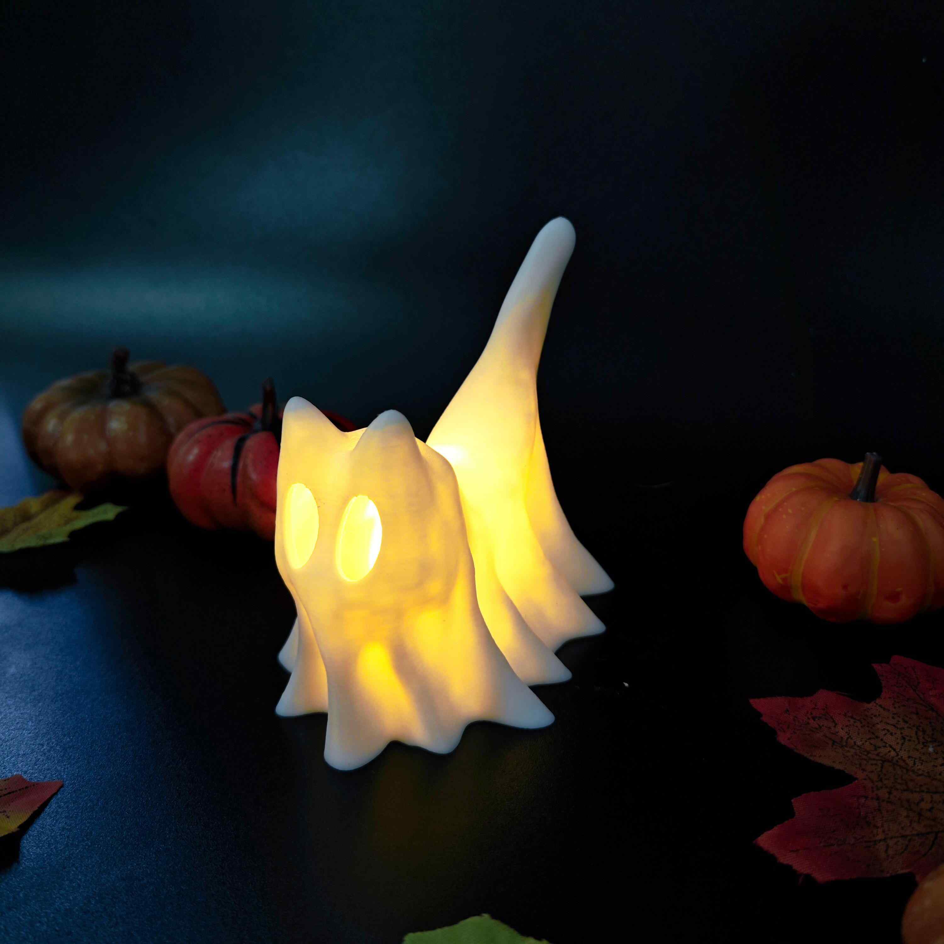 👻Glowing Ghost Pet