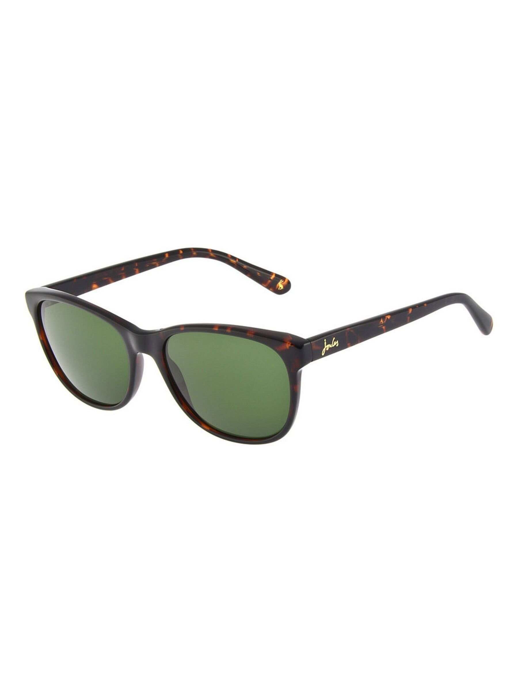 Tortoiseshell Brown Small Classic Graduated Bi-Colour Sunglasses