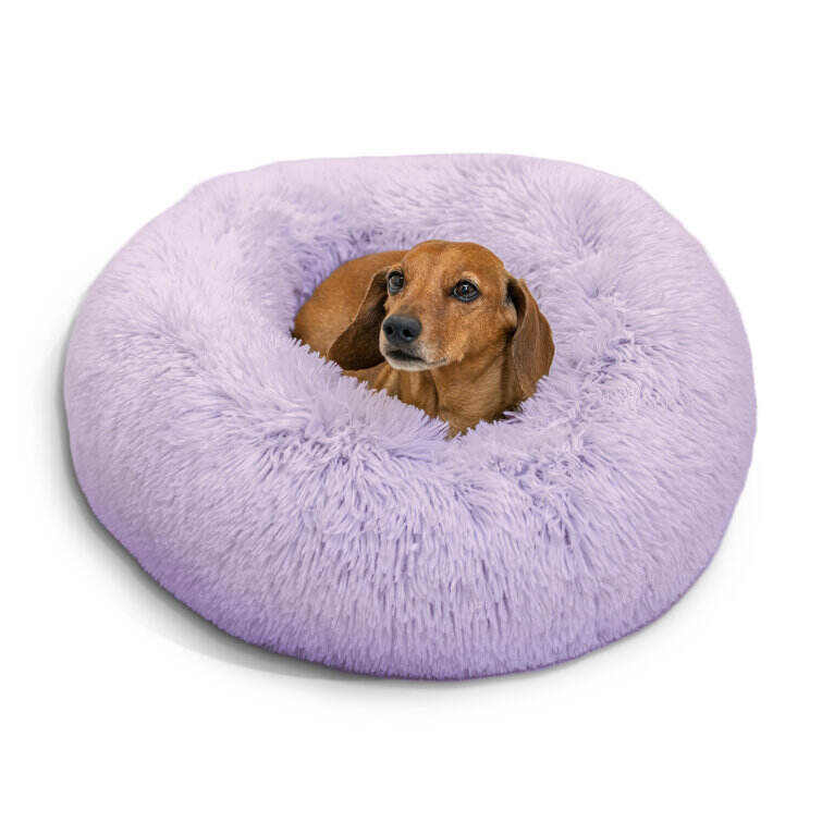 Best Friends by Sheri The Original Calming Donut Cat and Dog Bed