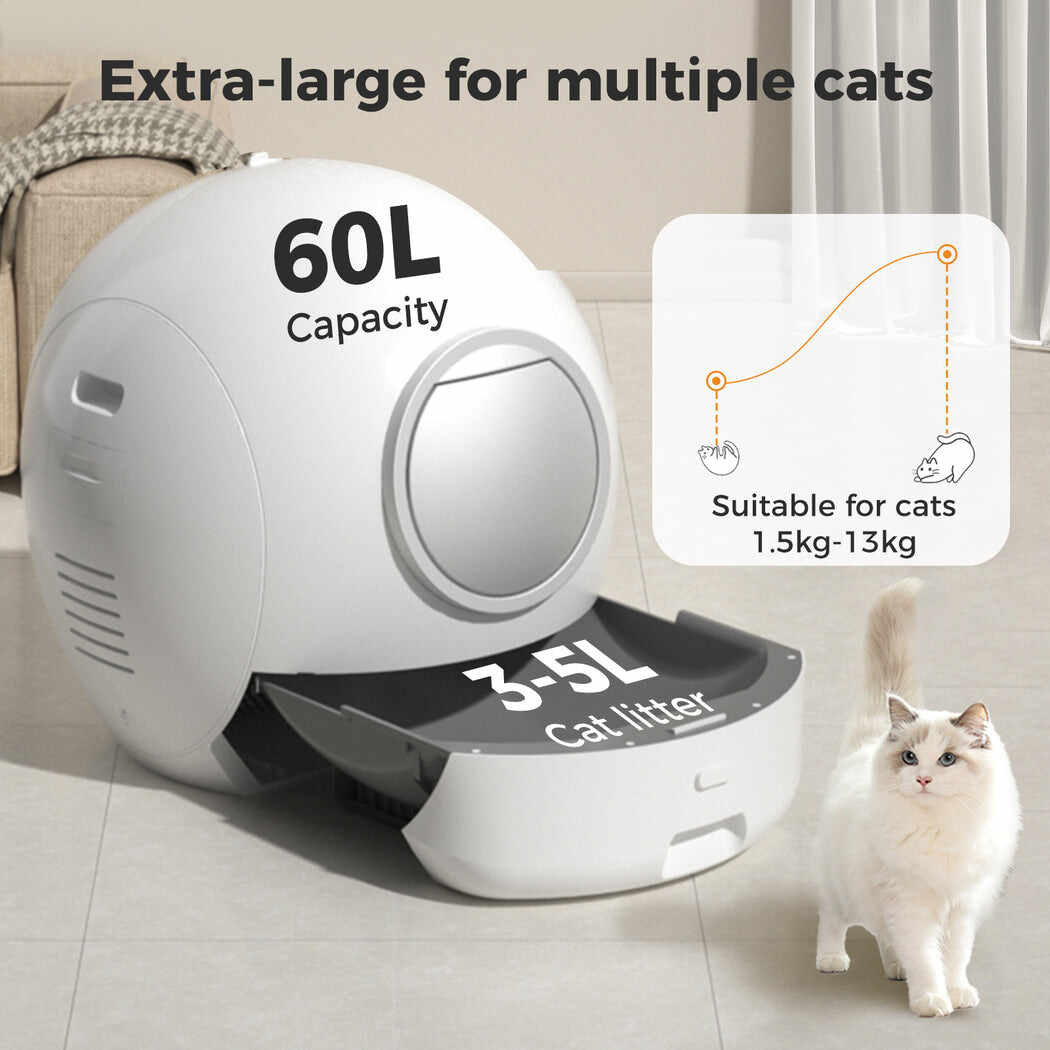 Automatic Self Cleaning Cat Litter Box