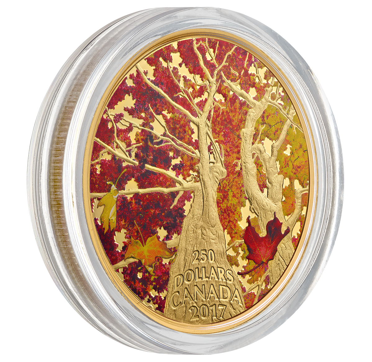 Canada 2017 – 250$ Maple Canopy: Kaleidoscope of Colour II – 2 oz Pure Gold Coloured Coin