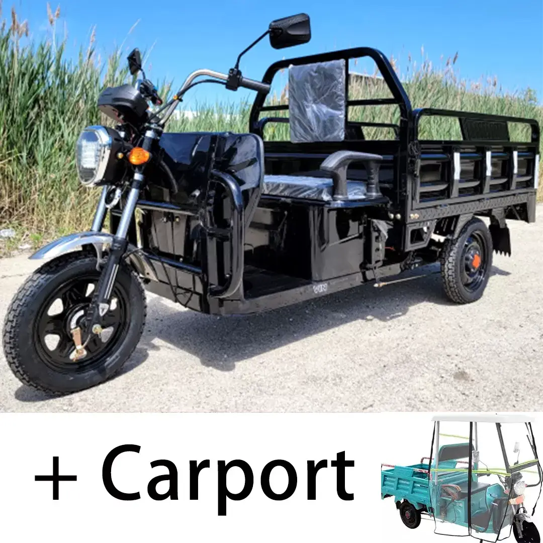 🔥First time supply - the most convenient electric car-Electric Mini Cargo Tricycle