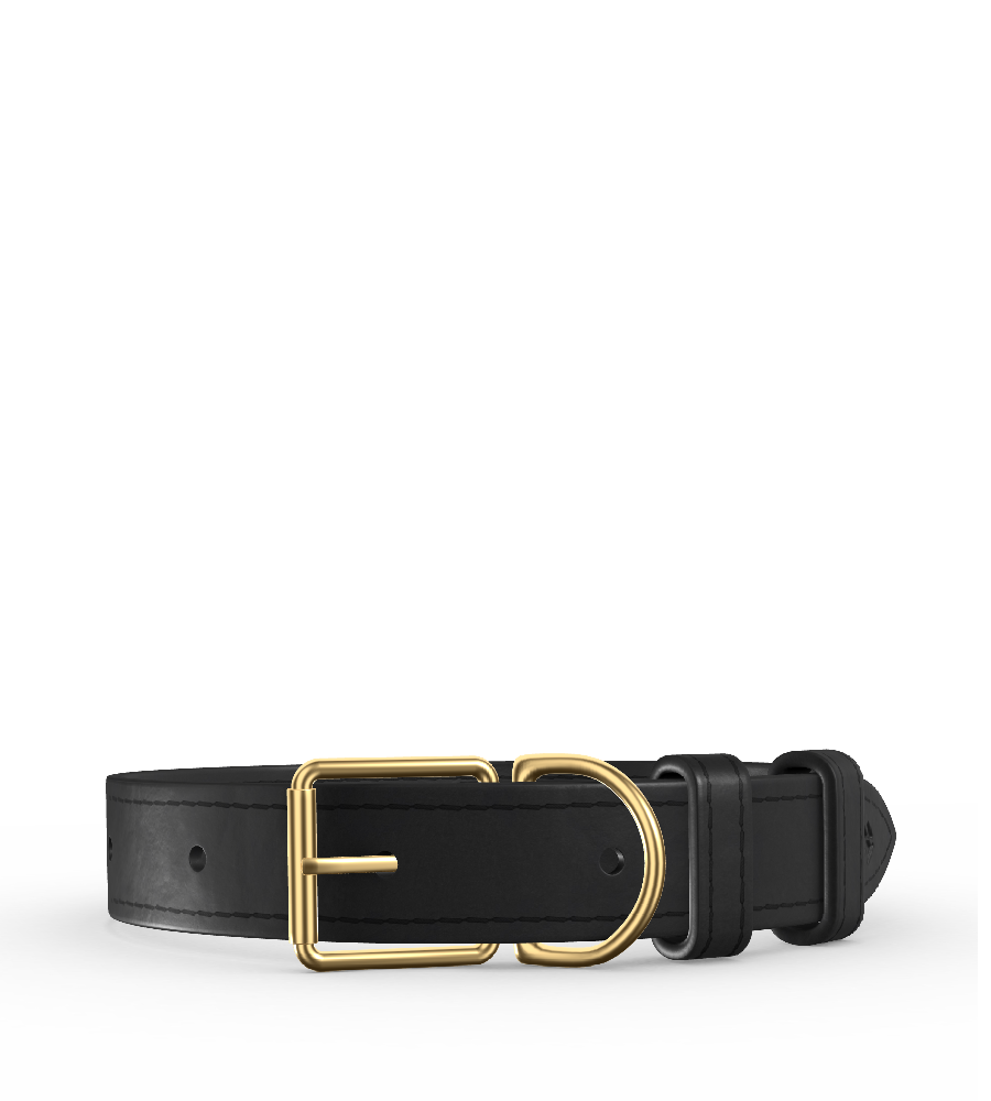 Clef Dog Collar