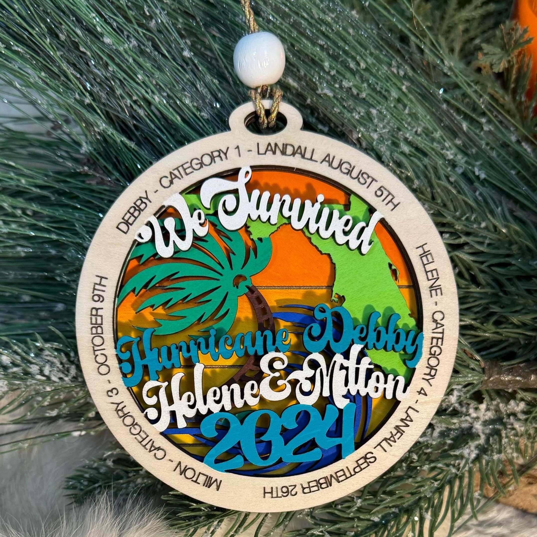 We Survived Hurricane Debby Ornaments