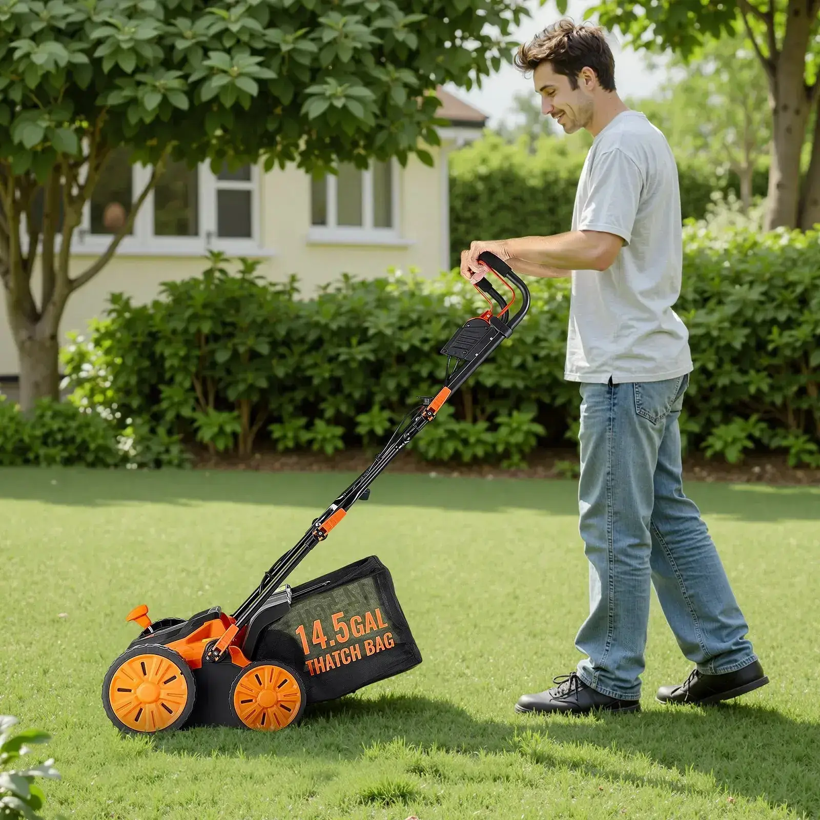2-in-1 Electric Dethatcher and Scarifier Lawn Dethatcher 13-Inch /16inch  13 Amp