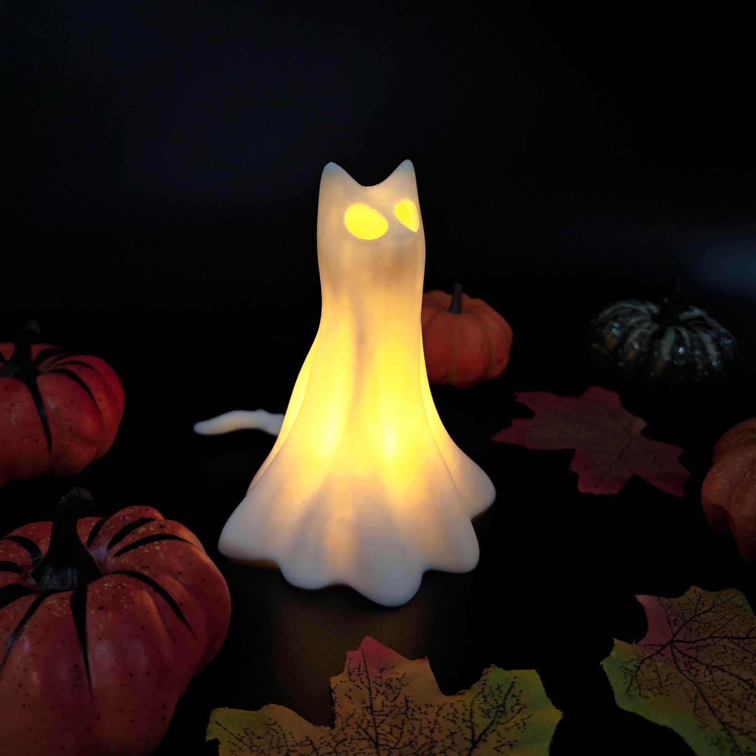 👻Glowing Ghost Pet