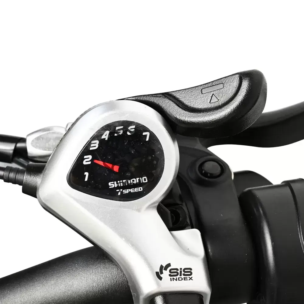 E-BIKE DZ2002 48V 13Ah 500W Performance Motor