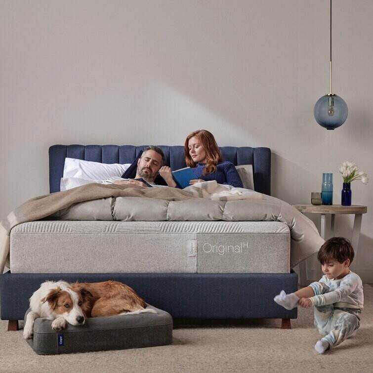 The Casper Dog Bed