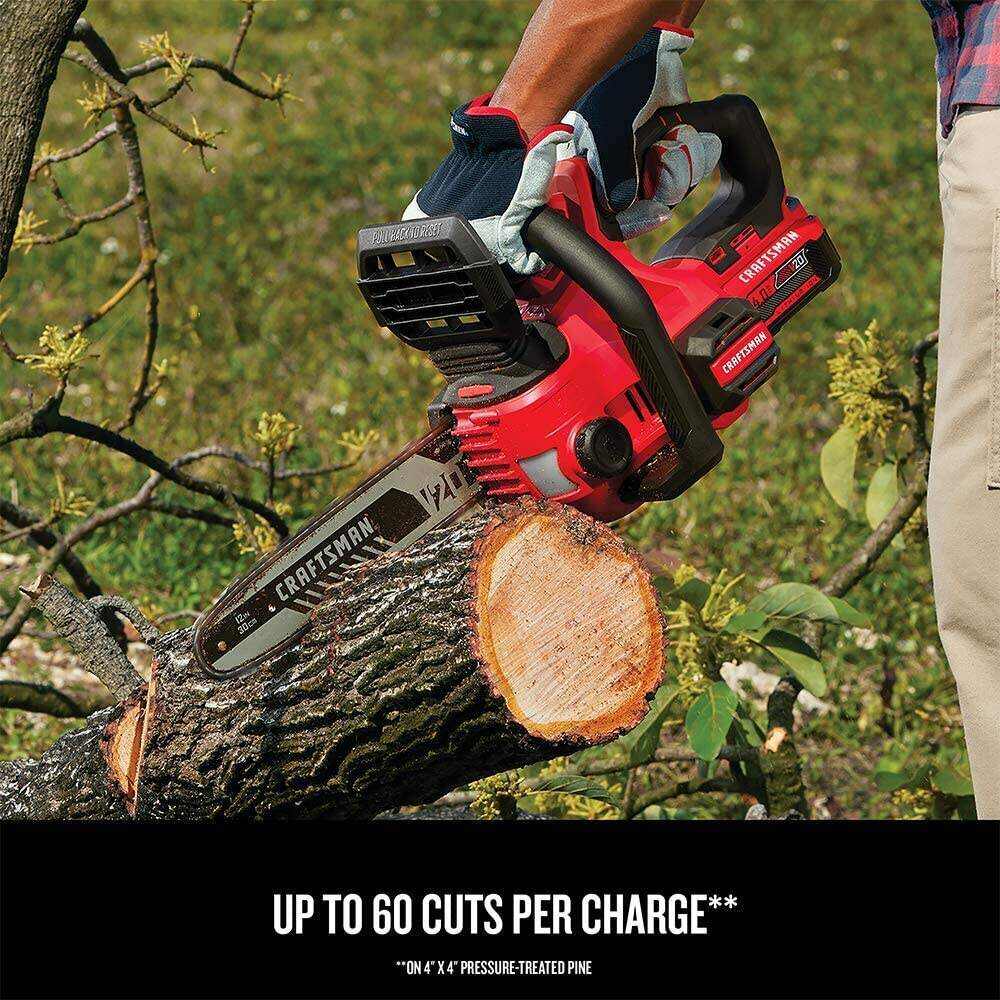 CRAFTSMAN V20* Cordless Chainsaw, 12-Inch (CMCCS620M1)