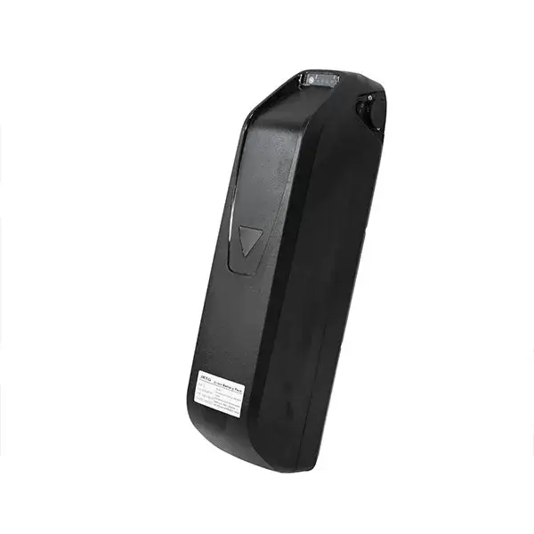 E-bike DP2602 48V 1000W*2 Dual Motor Hurricane Series