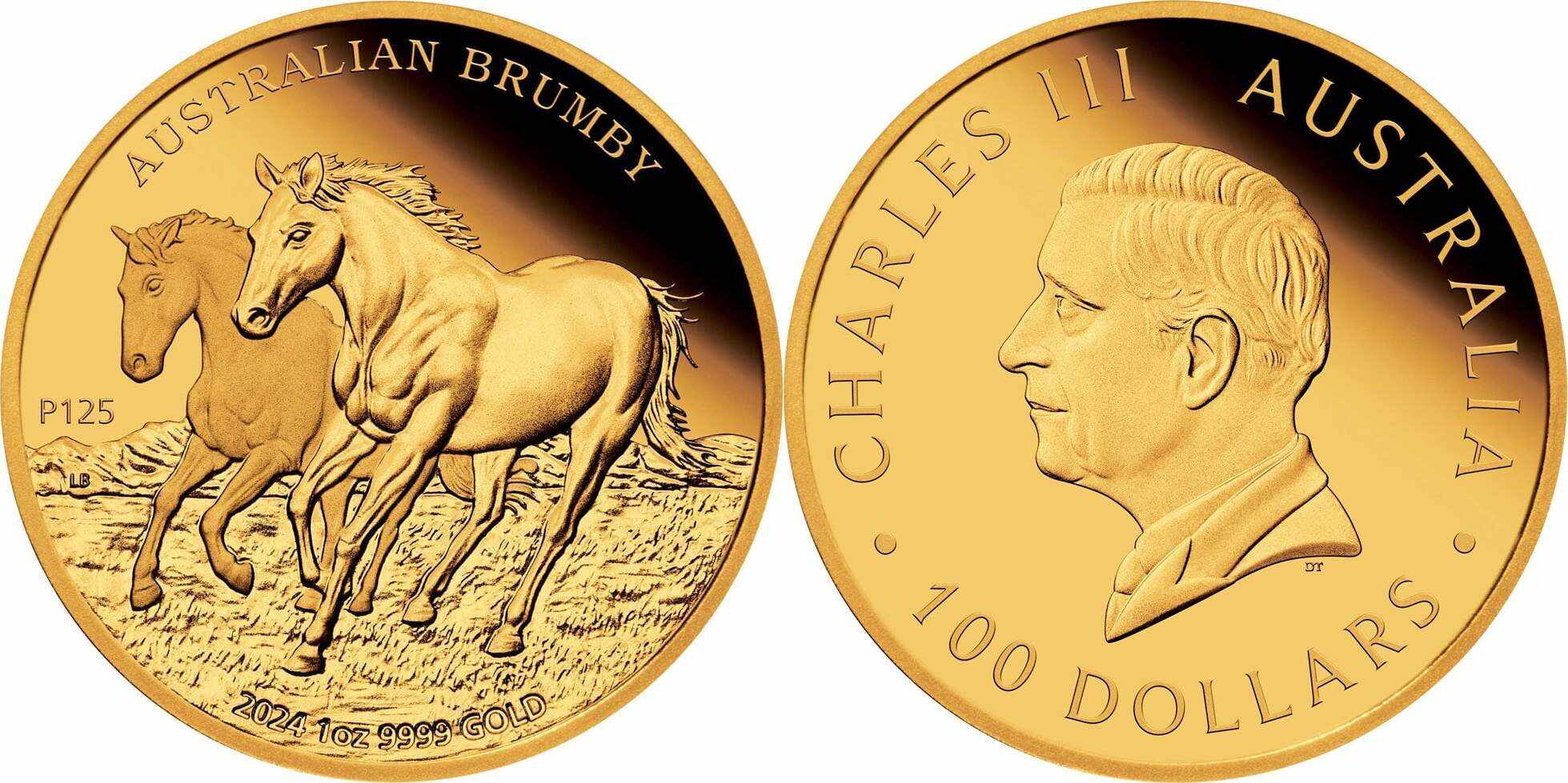 Australian Brumby 2024 $100 1oz Gold Proof Coin