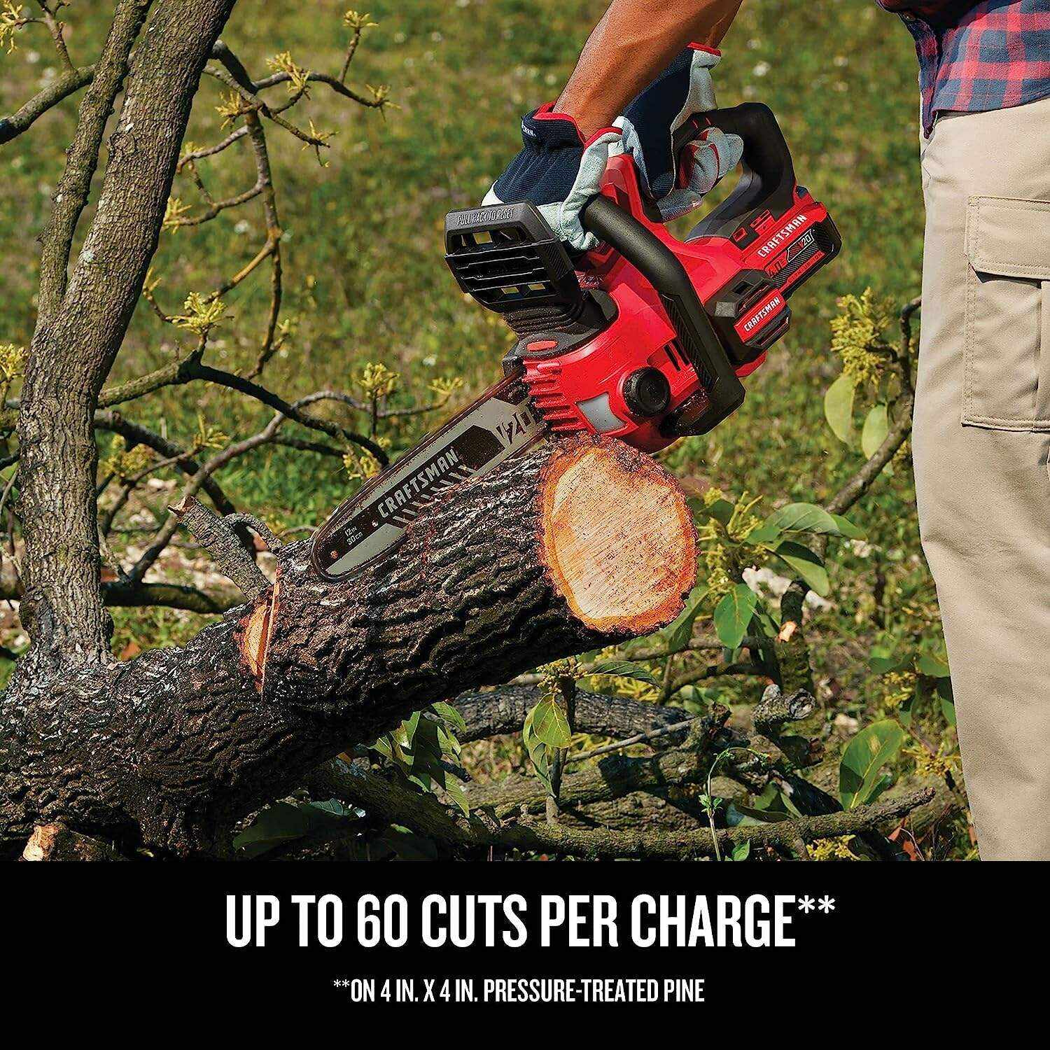 CRAFTSMAN V20* Cordless Chainsaw, 12-Inch (CMCCS620M1)