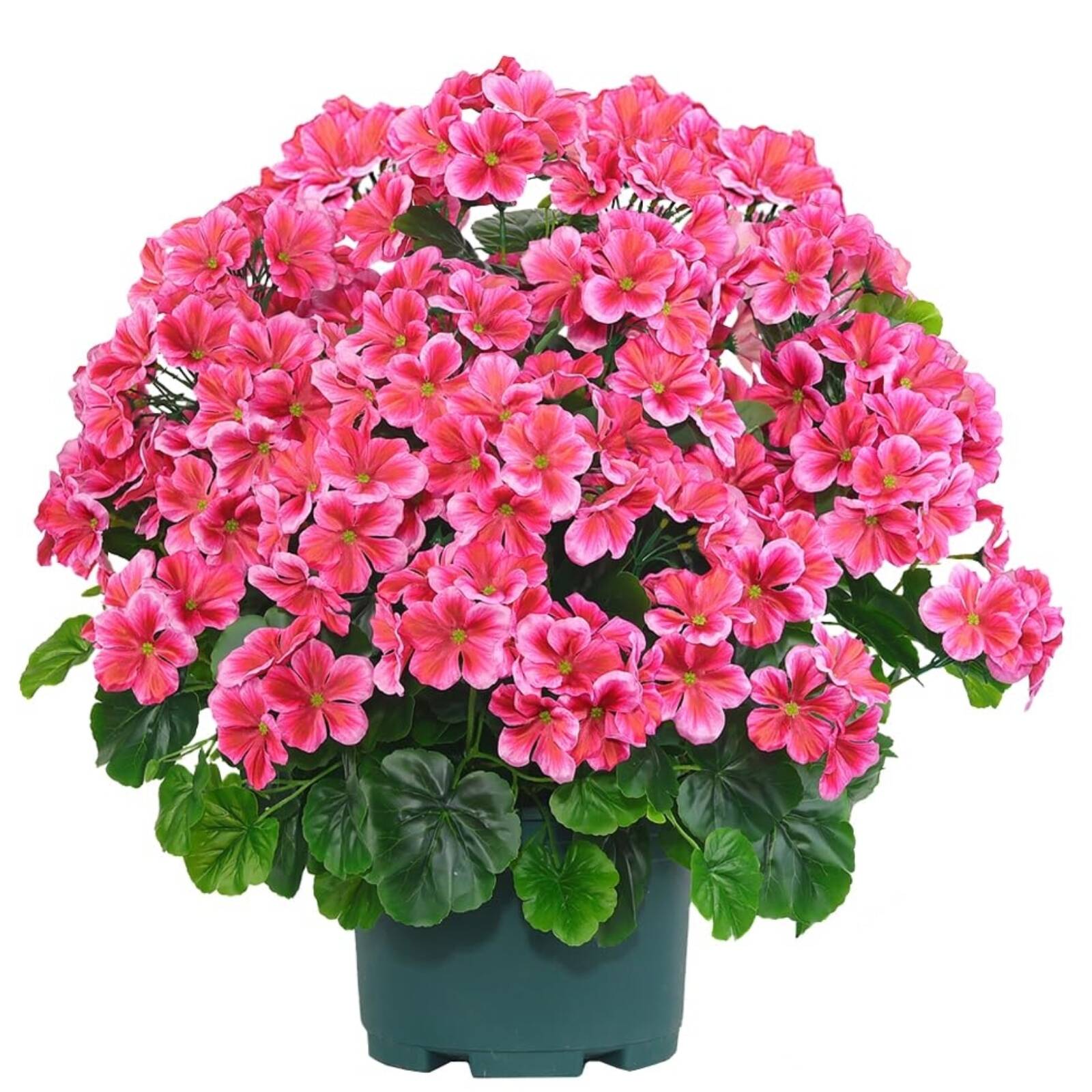 🔥Super Sale - 49% OFF🔥21