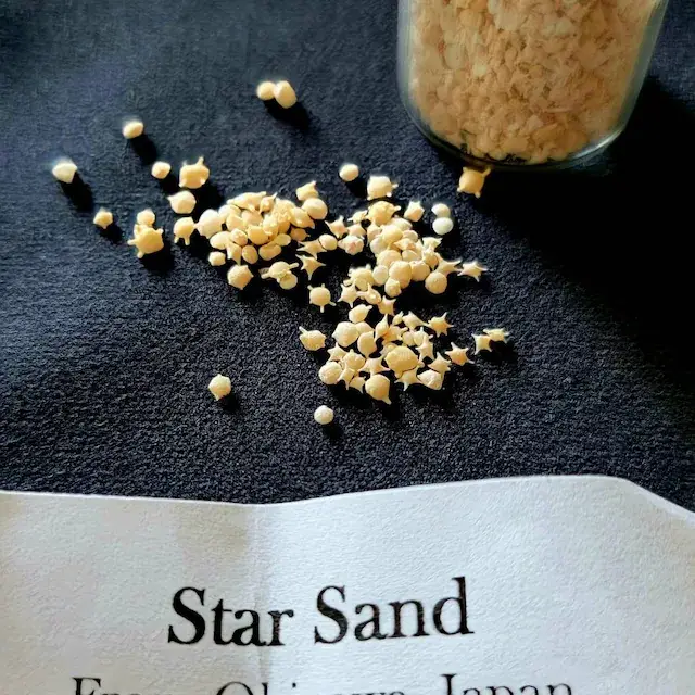 🌟RARE Okinawa Star Sand Jar | Make Wishes Come True