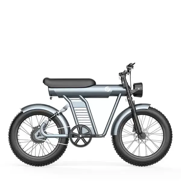 Ebikemoto x YYG BR100 Electric Bike 48V 20Ah 1200W, 20