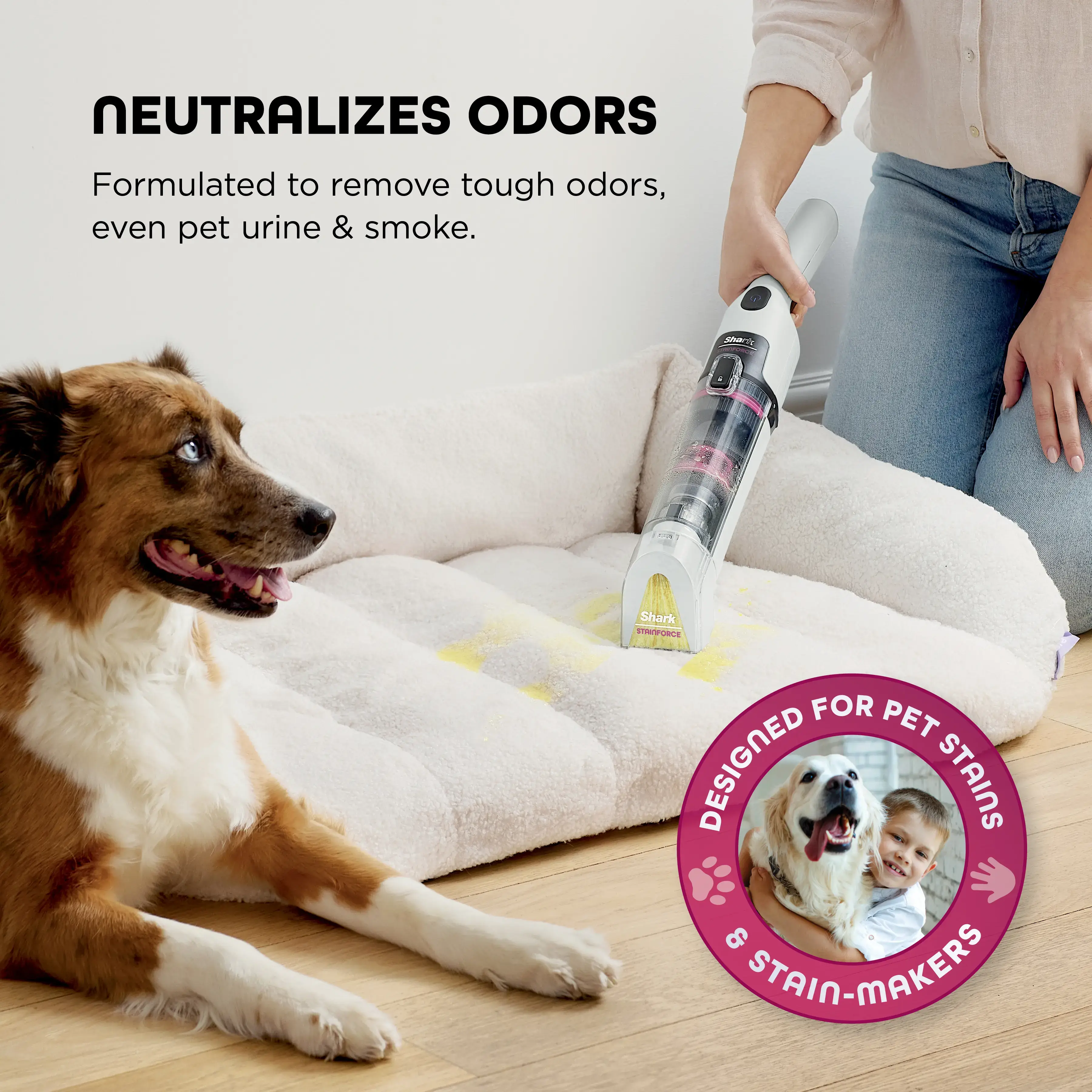 Cordless Portable Stain Cleaner, bagless with self cleaning  - HX100