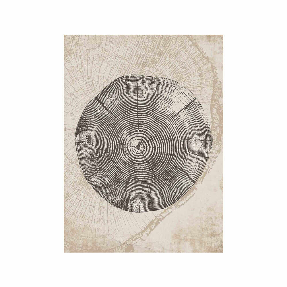 Beige Tree Ring Wall Art