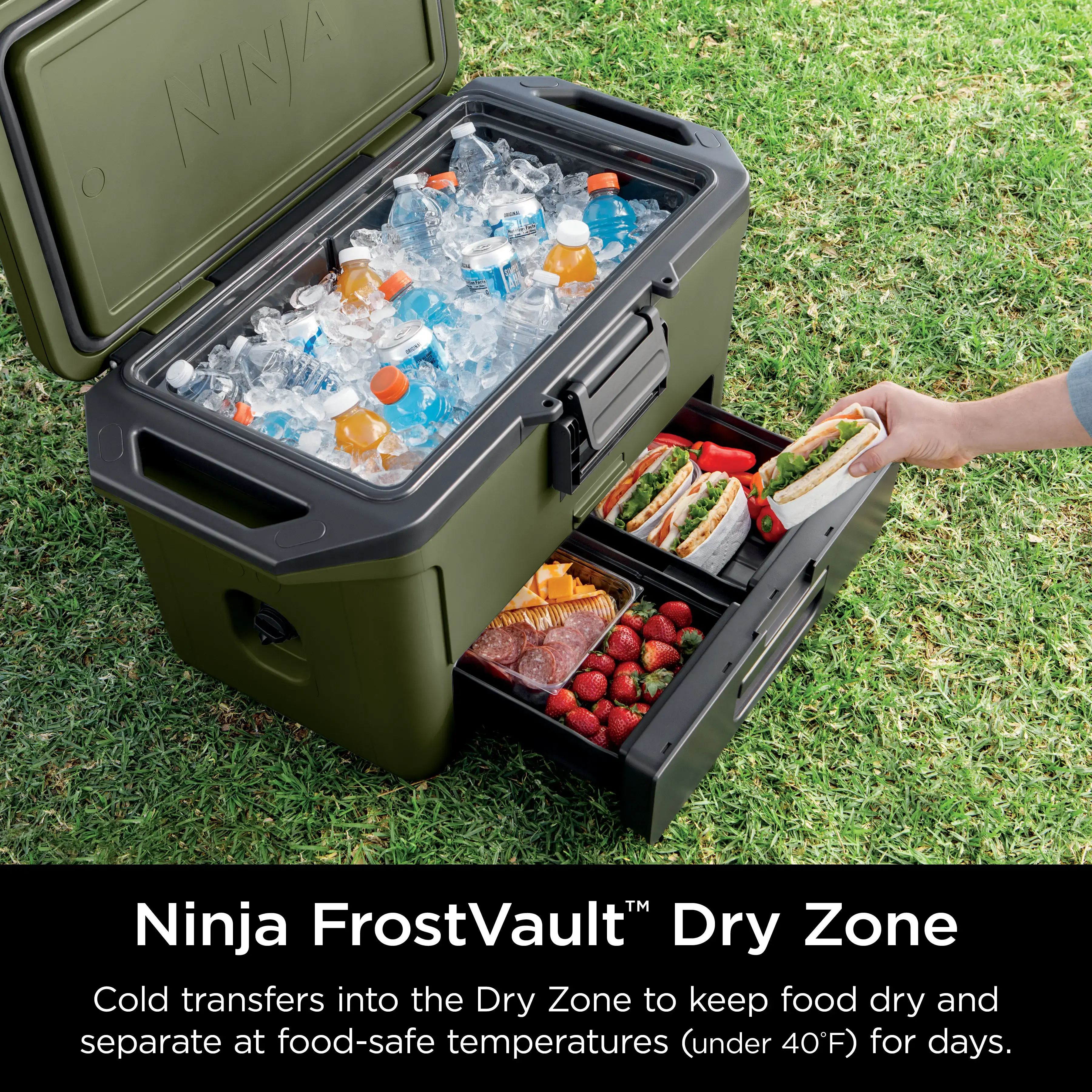 50qt Hard Cooler with Cold Dry Zone