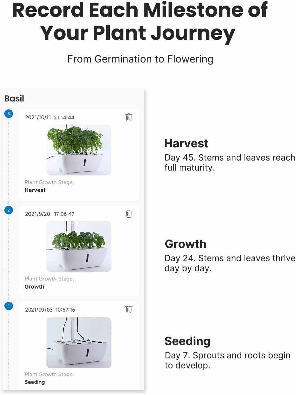 Hydroponics Growing System 12Pods, Indoor Garden with LED Grow Light