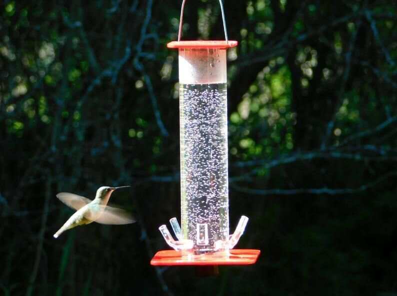 50% OFF Peter's Hummingbird Feeder - Buy 2 Give Free Cleaning Brush and Hook