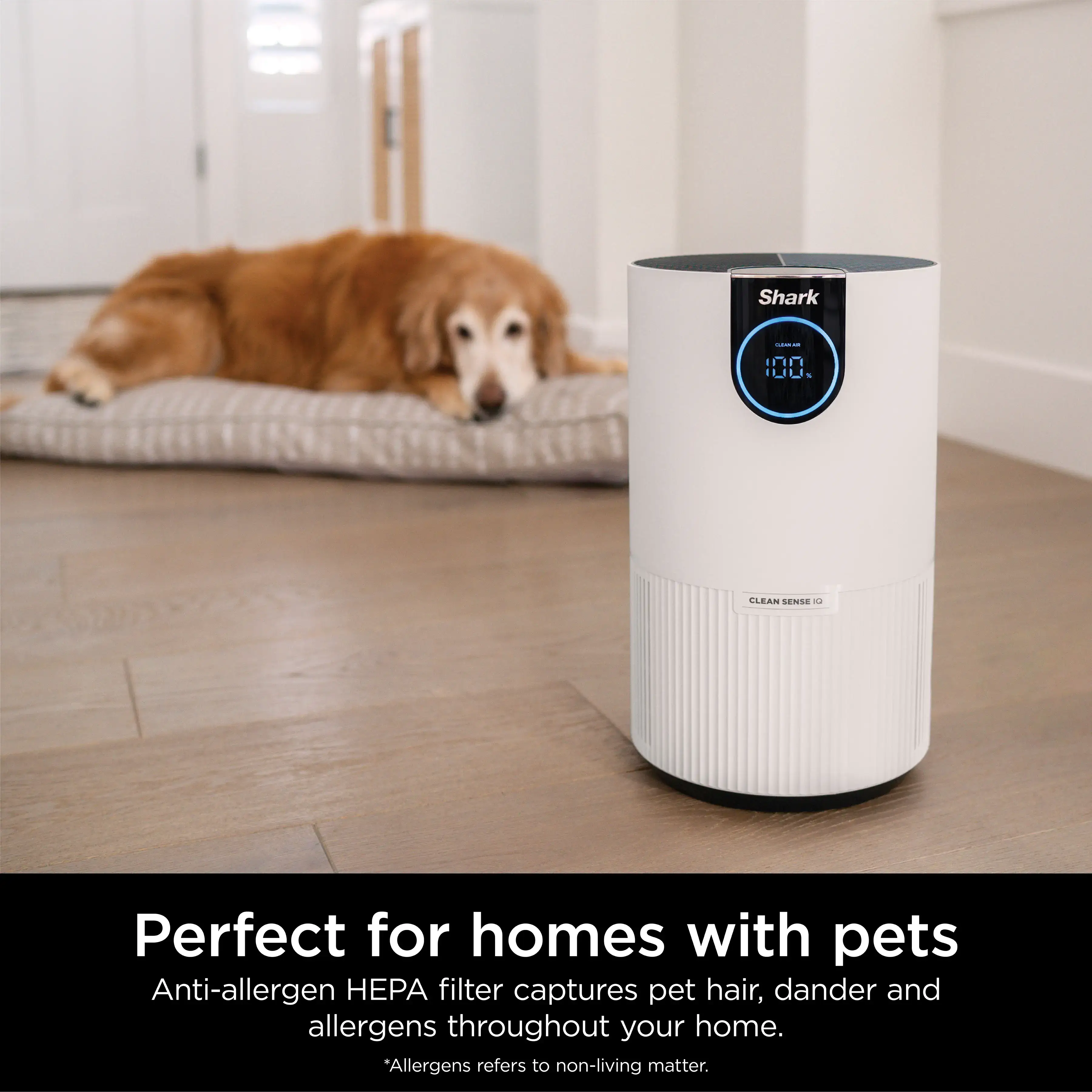 Shark Air Purifier with True HEPA - HP102