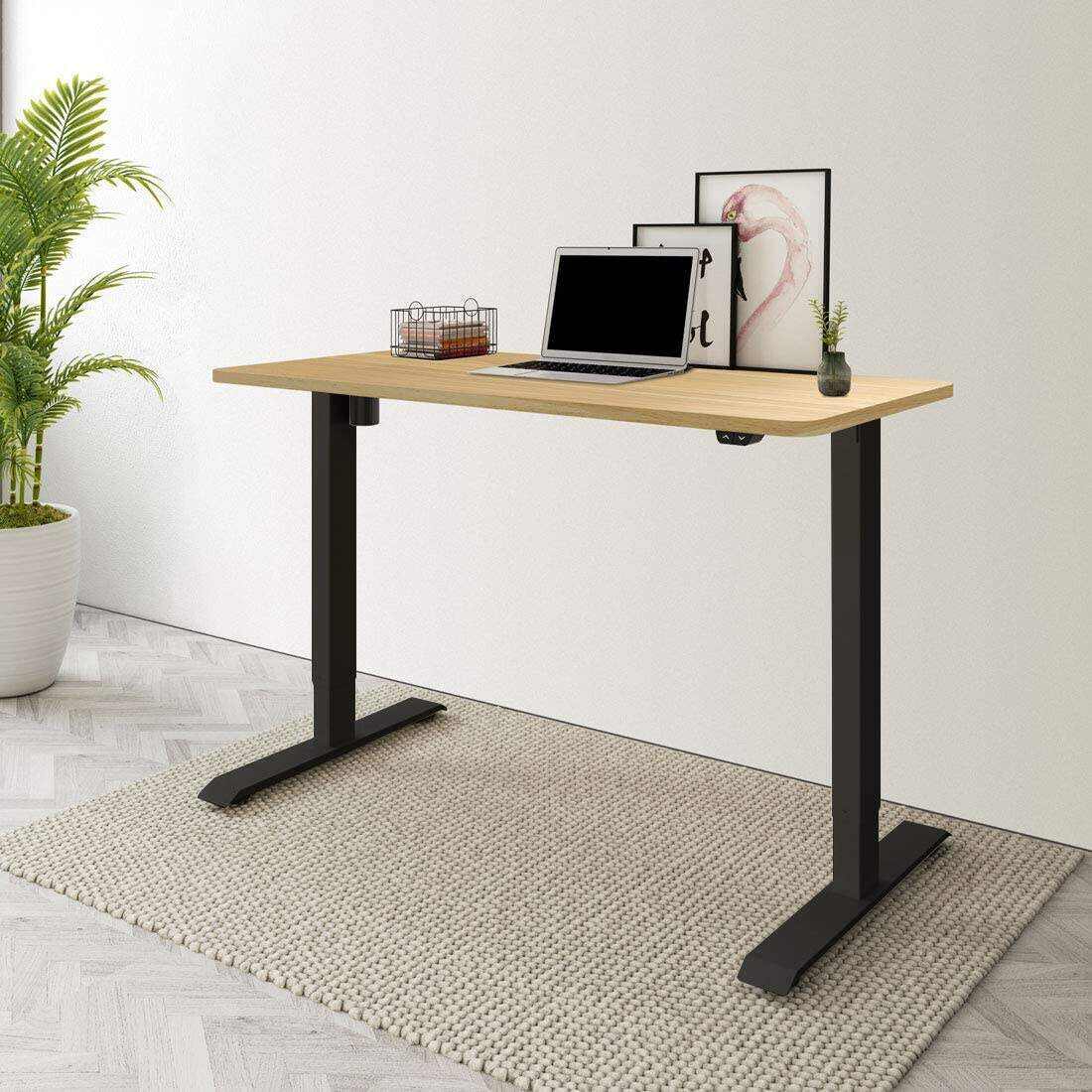 2024 New Electric Lift Computer Desk