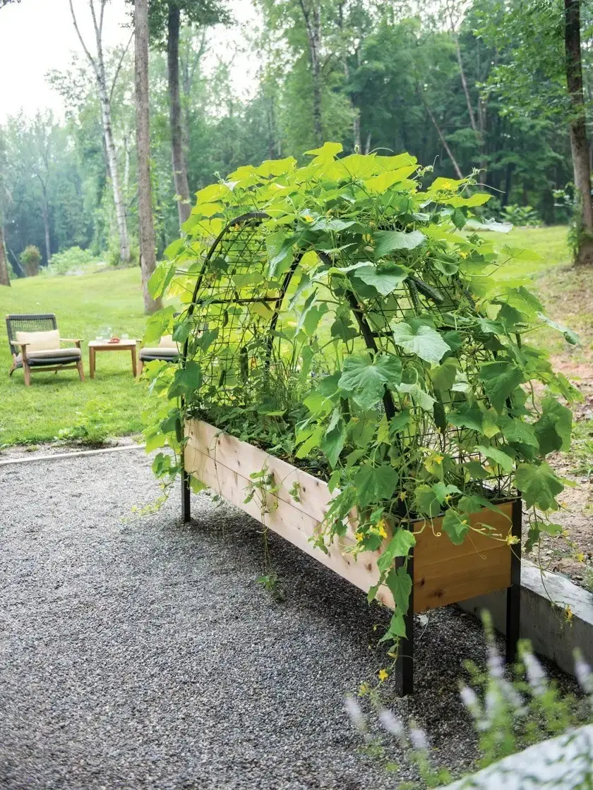🎍Heavy Duty Standing Garden Planters for ❤️(2' x 8' )