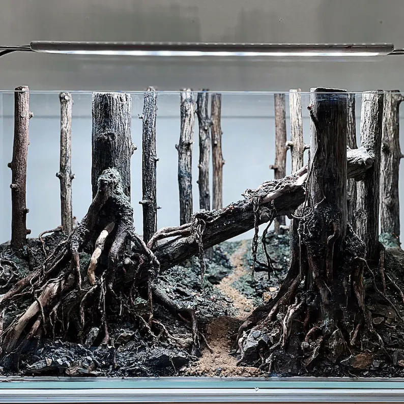 Ancient Stone glued aquascape for nano aquarium