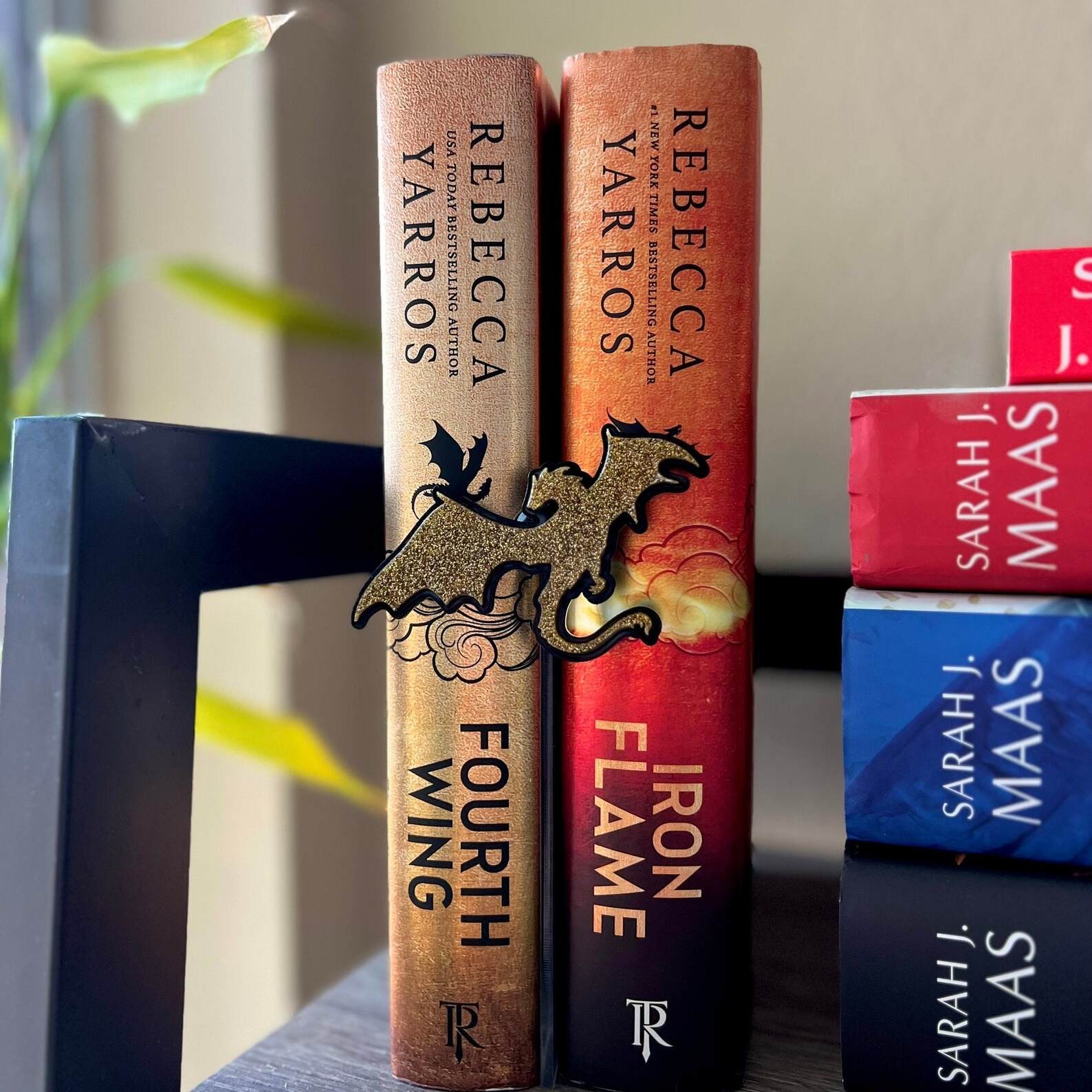 Wooden Dragon Bookshelf