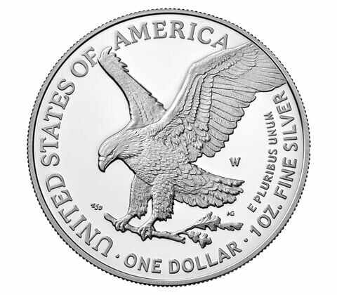 Last Day Only $6.99-American Eagle 2023 One Ounce Silver Proof Coin