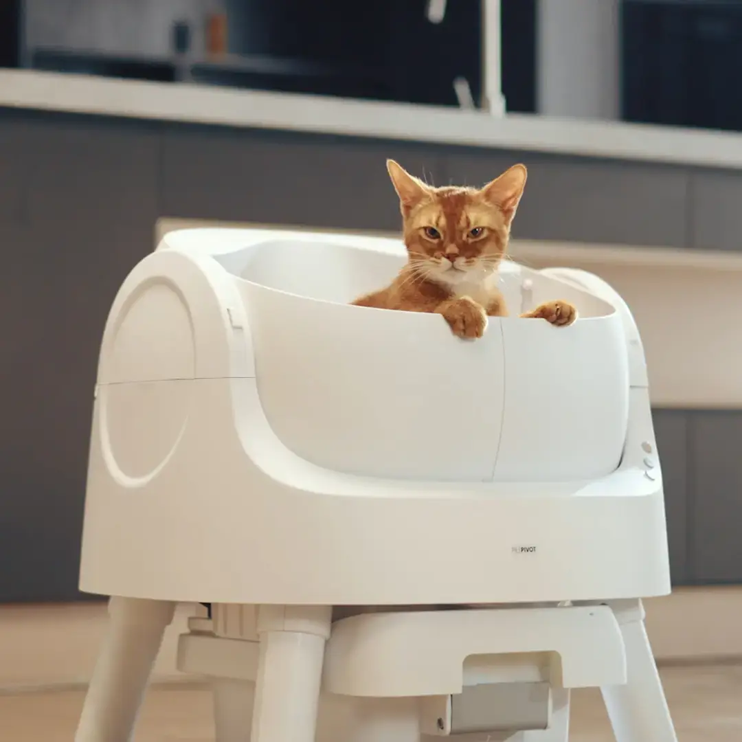 PetPivot AutoScooper 11 Self-Cleaning Cat Litter Box